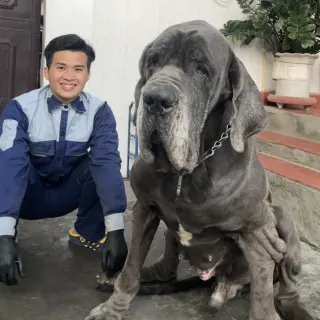 Nhất Thú Cưng