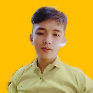 Sang Vlog
