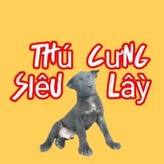 Thú Cưng Siêu Lầy